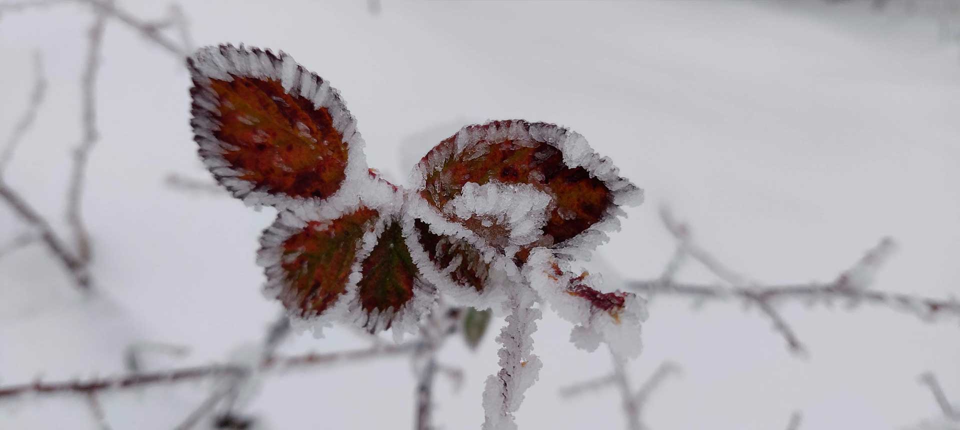 Sonnenaufgang über einer winterlichen Landschaft