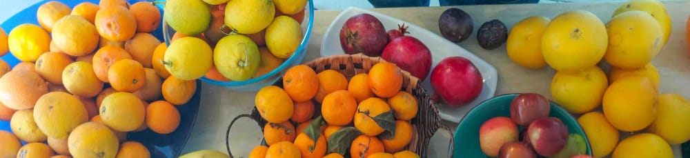 Tisch voller frischer Früchte: Orangen, Zitronen, Mandarinen, Granatäpfel und Pflaumen