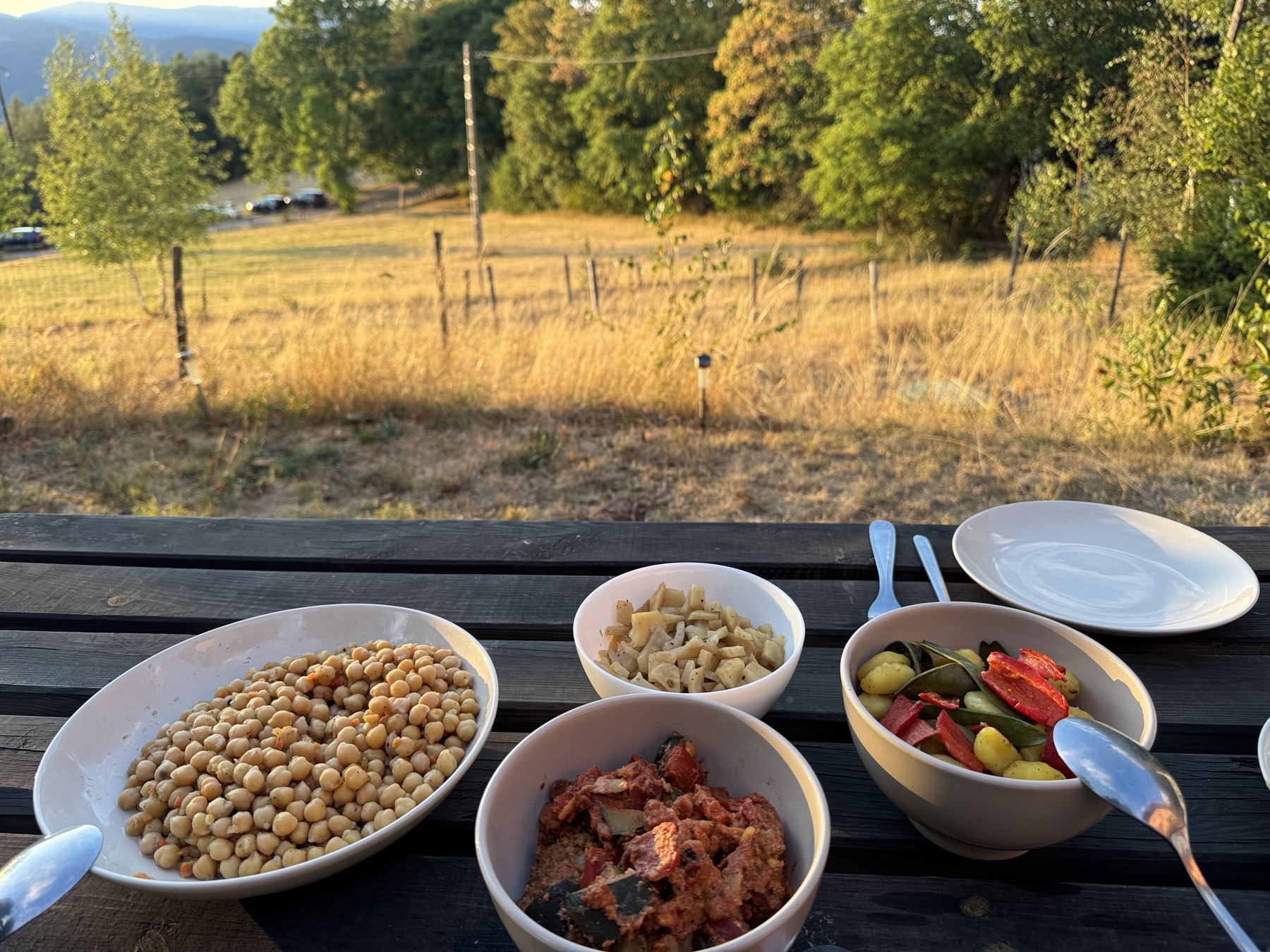 Gedeckter Tisch mit hausgemachten Gerichten, Blick auf die Wiese im Abendlicht